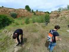 Stredoškolská geologická olympiáda 2024, celoštátne kolo