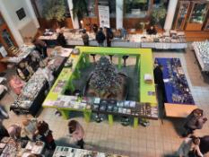 Hammer Run and Mineral Exchange