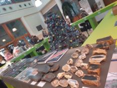 Hammer Run and Mineral Exchange
